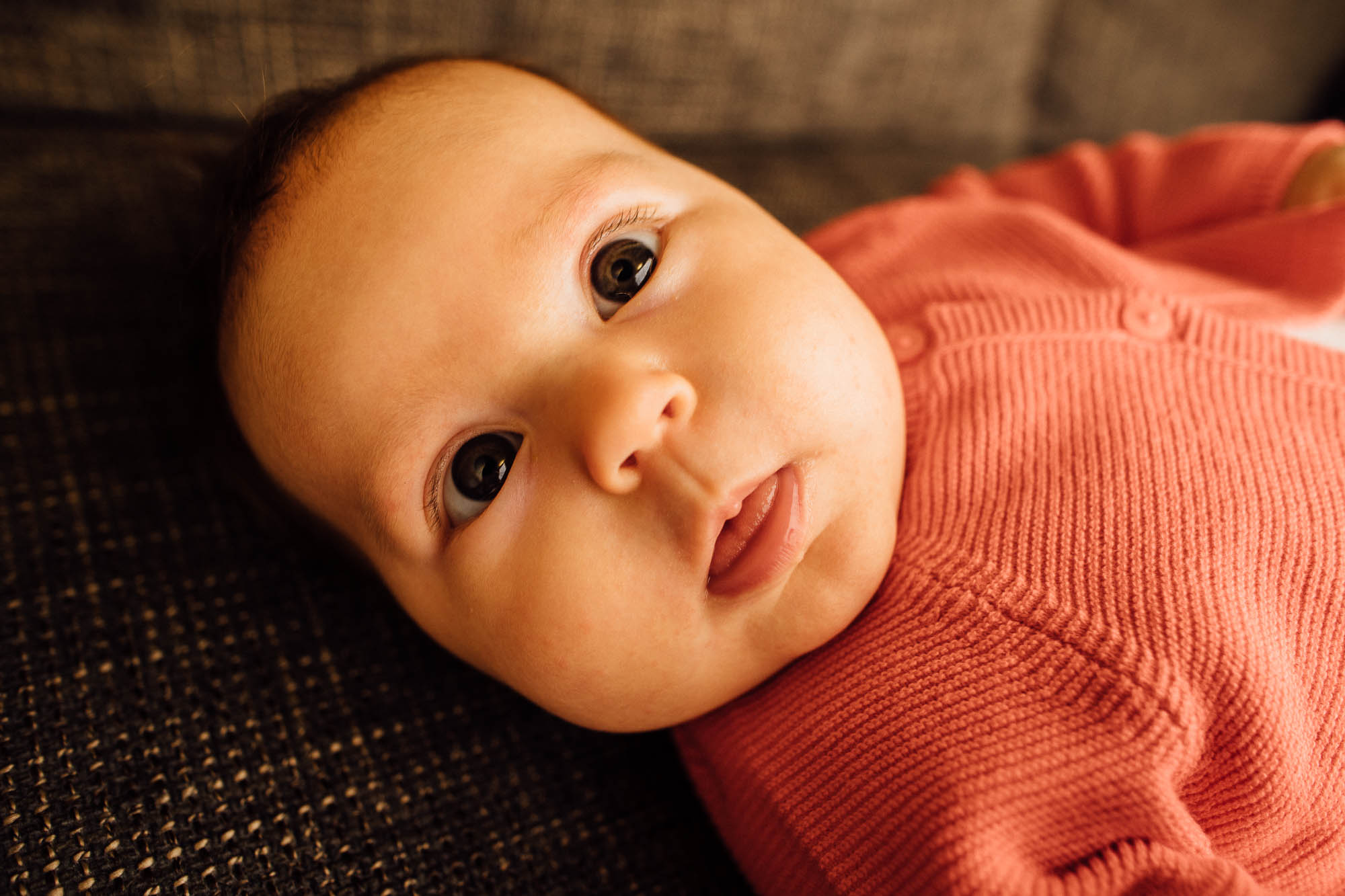 Export x3 5D4 0497 Familyfotoshooting 2020 Rossbach